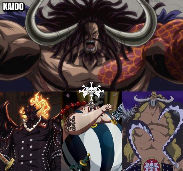 关于【奎因】的最新文章和图片