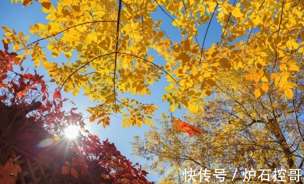 词人$诗词丨宋词的秋,惊艳四季:澄江似练,翠峰如簇,归帆去棹残阳里