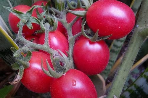 女人|女人不愿早衰,推荐常吃3种食物,皱纹没了,色斑淡了,早知早好