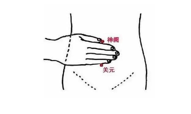 植物醇|退休老中医三味草药，每天泡水喝，牛都拉不动！