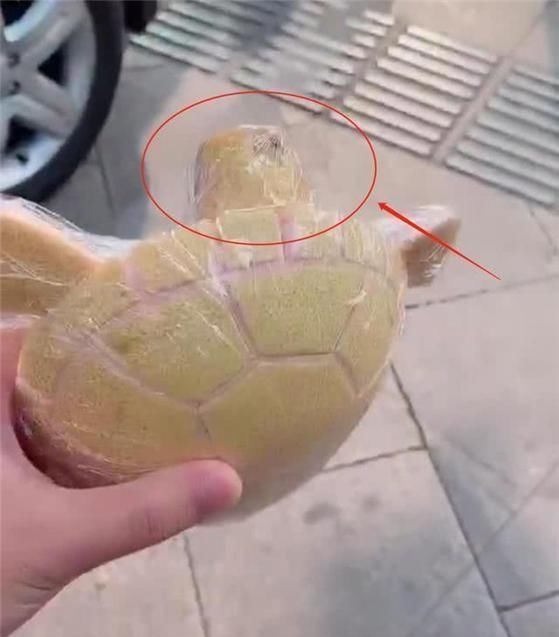 动物|幼儿园作业“水果动物”逼疯家长,硬核妈妈巧妙构思,绝了