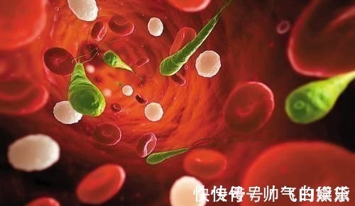 高血脂|高血脂除了吃药,这6种食物要多吃,帮助降血脂,身体更健康