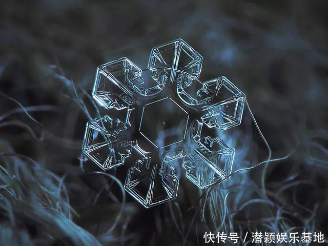 他用8个冬天拍下雪花的样子，每一朵都如此惊艳！