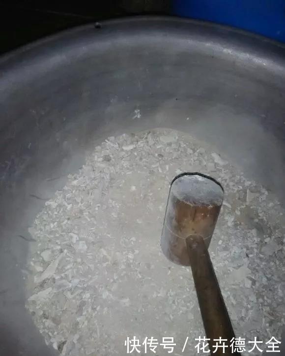 花草|超厉害的“开花肥”,2周浇一勺,呼呼爆花,一连3个月