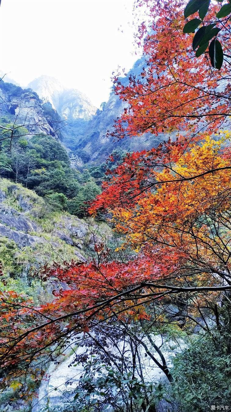 龙泉精舍|【熊迹】赏秋之旅秋色庐山，梦幻瑶里