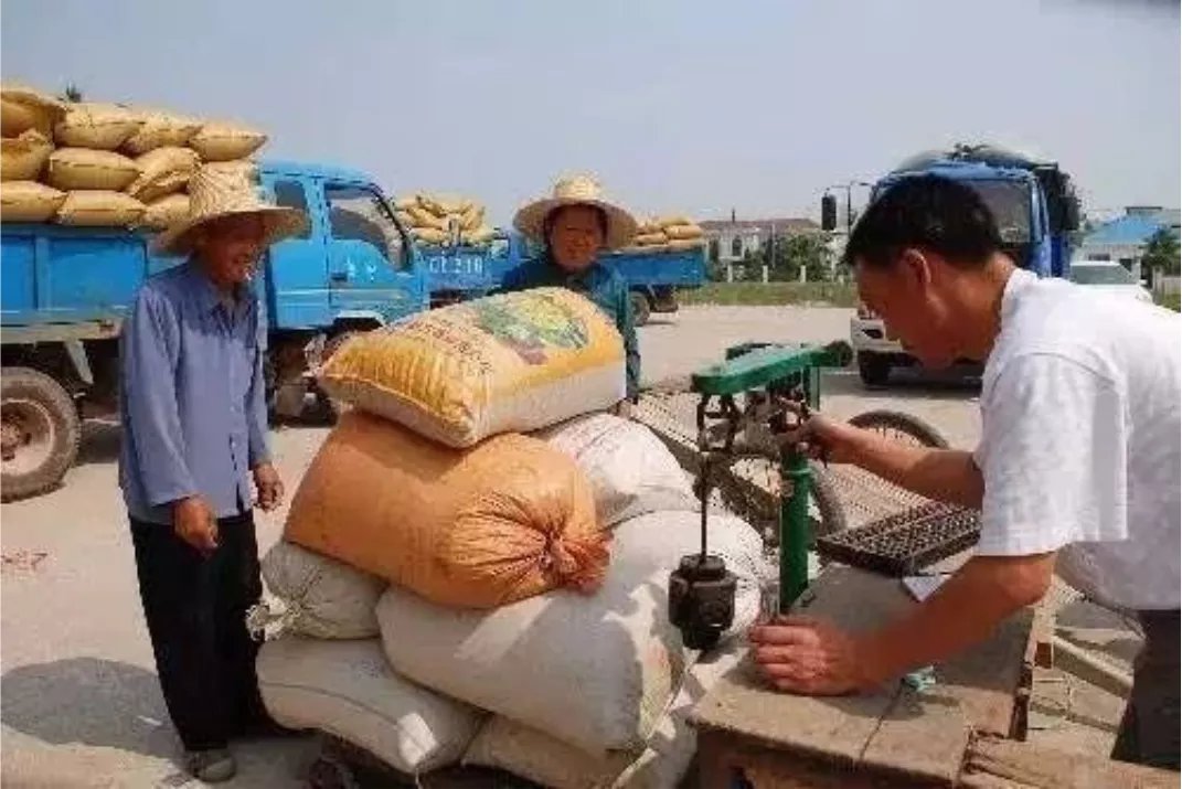 稻谷|告别互联网大厂，我回湖南老家卖粮食，也能年入百万