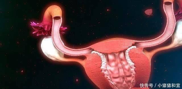 恢复|生完宝宝后，若你在“这个时间”来月经，说明你子宫恢复的挺好