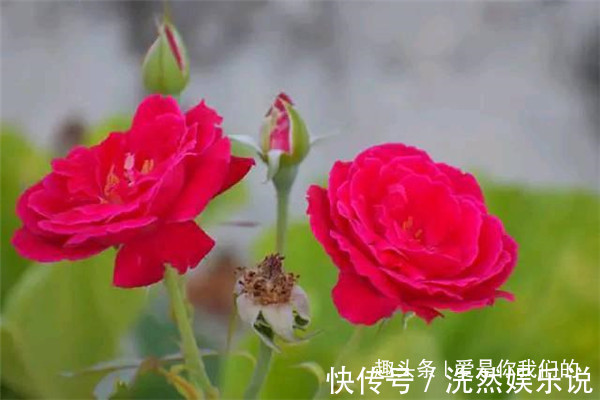 出息|父母只要有一人出生在农历这6天,孩子相貌好,福气更好!