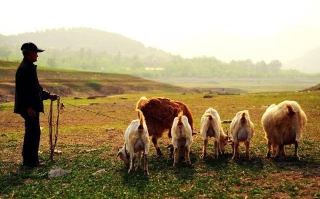 成镇|牧羊人捡到10块石头,被历代30名皇帝收藏,如今成镇国之宝