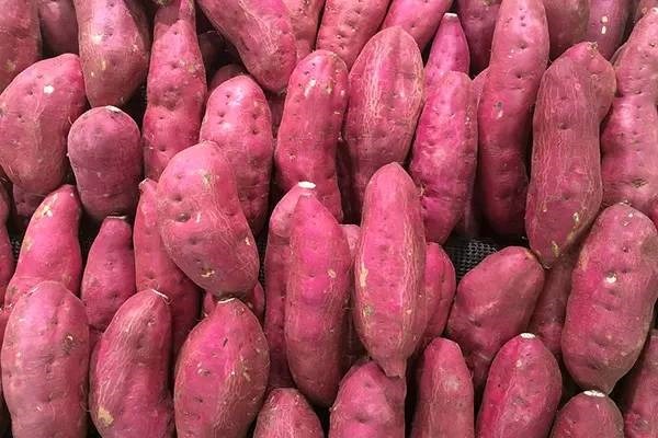 湿气|红薯加一物是黄金搭档,若每天吃,常食能排湿气、补血气、养胃气