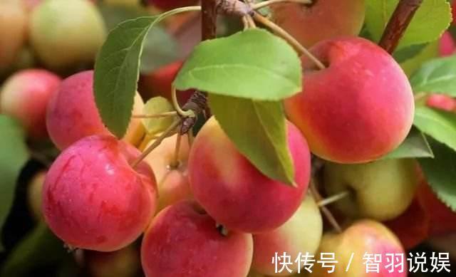 食物|女性养生先排毒，常吃以下食物，排毒清肠，呵护皮肤，好处多多