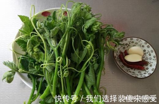 南瓜尖|“戒烟菜”，2元买一捆，一周吃三次，清除尼古丁男人要多吃