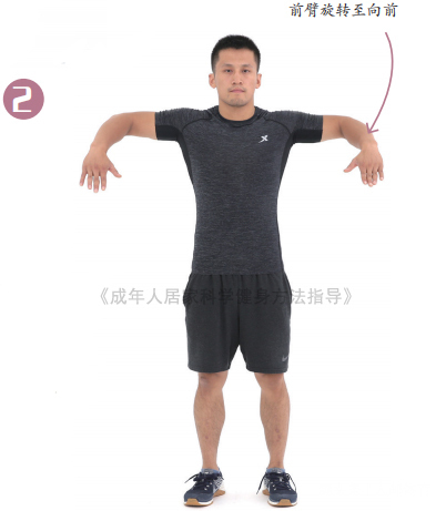 肌群|干货!要想练就完美的“倒三角”身材,决不能忽视肩部训练!