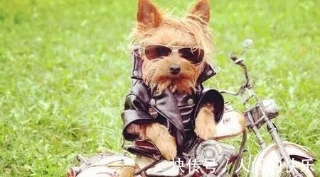 |10条超搞笑的段子,忍不住笑出声来(太好玩了)