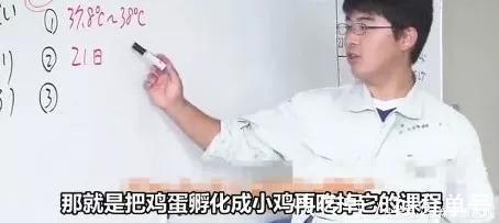 生命|日本最“变态”的生命课亲自养，亲手杀，亲口吃，孩子崩溃大哭