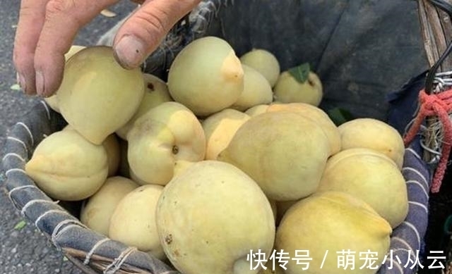 毛桃|爱吃桃子的要留意了，我也是刚刚才知道，抓紧告诉家里人