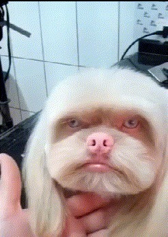 |搞笑GIF:美女这表情真是丰富啊,不去当演员亏了啊