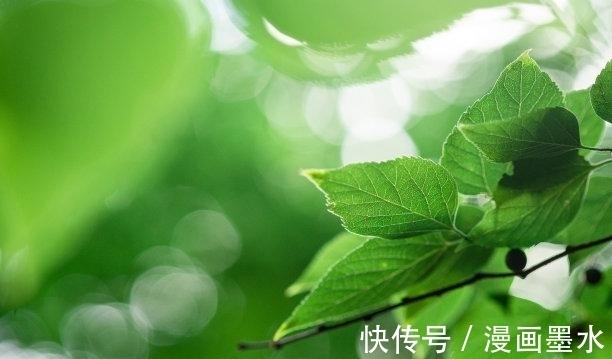 双子座|往后9天，旧情刻骨，回眸是你，主动求和，姻缘再续，相守一生