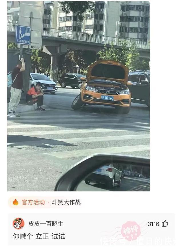 |搞笑神评：当初让你好好上学，你偏说放牛好