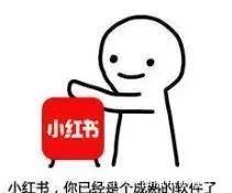 国家网信办|半年处理8787篇笔记，这一次小红书把炫富拿捏住了吗?