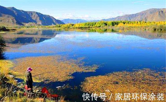 晚秋钓鲫鱼,爆护秘诀有4个:时机、钓点和钓法,饵料只能排最后