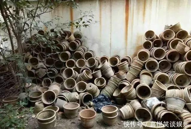 几十个高价花盆,被扔在垃圾桶旁,捡还是不捡?