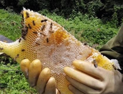 曝光|央视曝光它比“地沟油”都脏，孩子却当补品喝，父母别不在乎