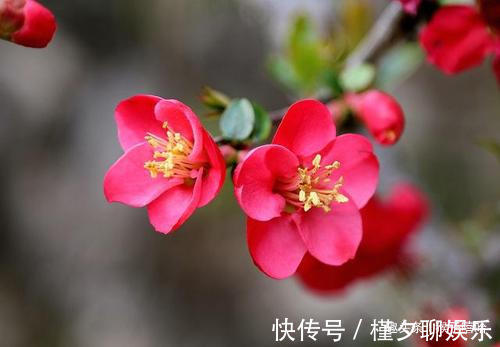 财神爷|谁家女人属此生肖，是家里的“财神爷”，为家里人招财纳福