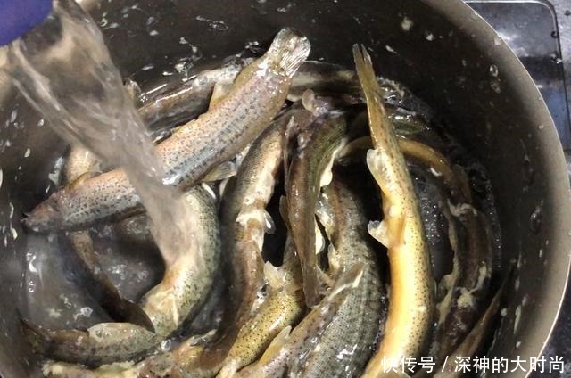 滋润|秋天干燥,用北芪和这“水中人参”煮汤,甘甜美味,滋润营养好