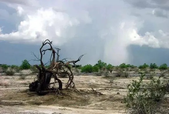 把珠子表面|这东西车出来的珠子能玩儿吗?