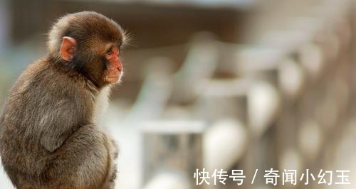 9条打发无聊时间的趣味冷知识,分享给小伙伴们一起学习吧