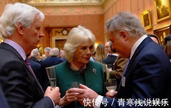 礼服@戴安娜生前的经典项链,被卡米拉改成胸针,却戴一次被人骂一次