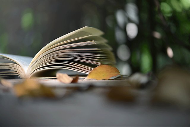 奶茶|【米兰壁纸墙布窗帘】一期一会丨只为留住你我的朝暮与日月