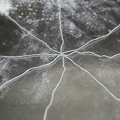 万圣节南瓜全麦软欧面包