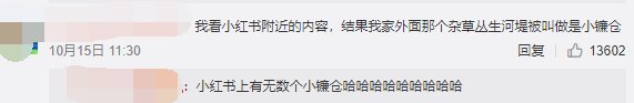 热闻丨小红书变“小黑书”？滤镜景点背后：买账号推广已不是秘密