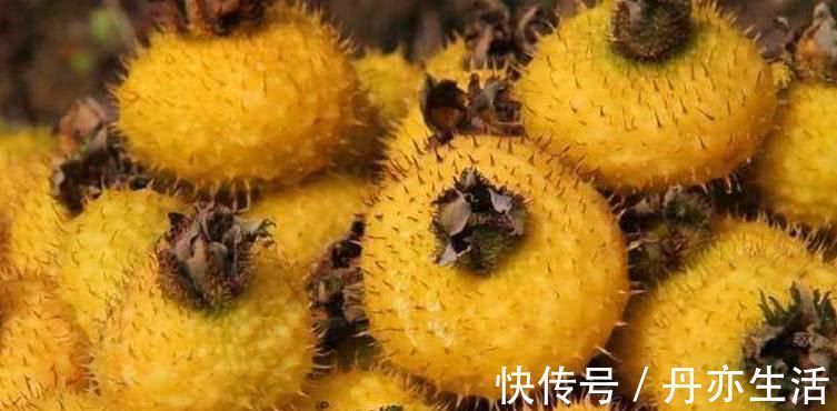 维生素c|女人月经走后, 这些食物要多吃, 排出卵巢毒素, 越吃越年轻