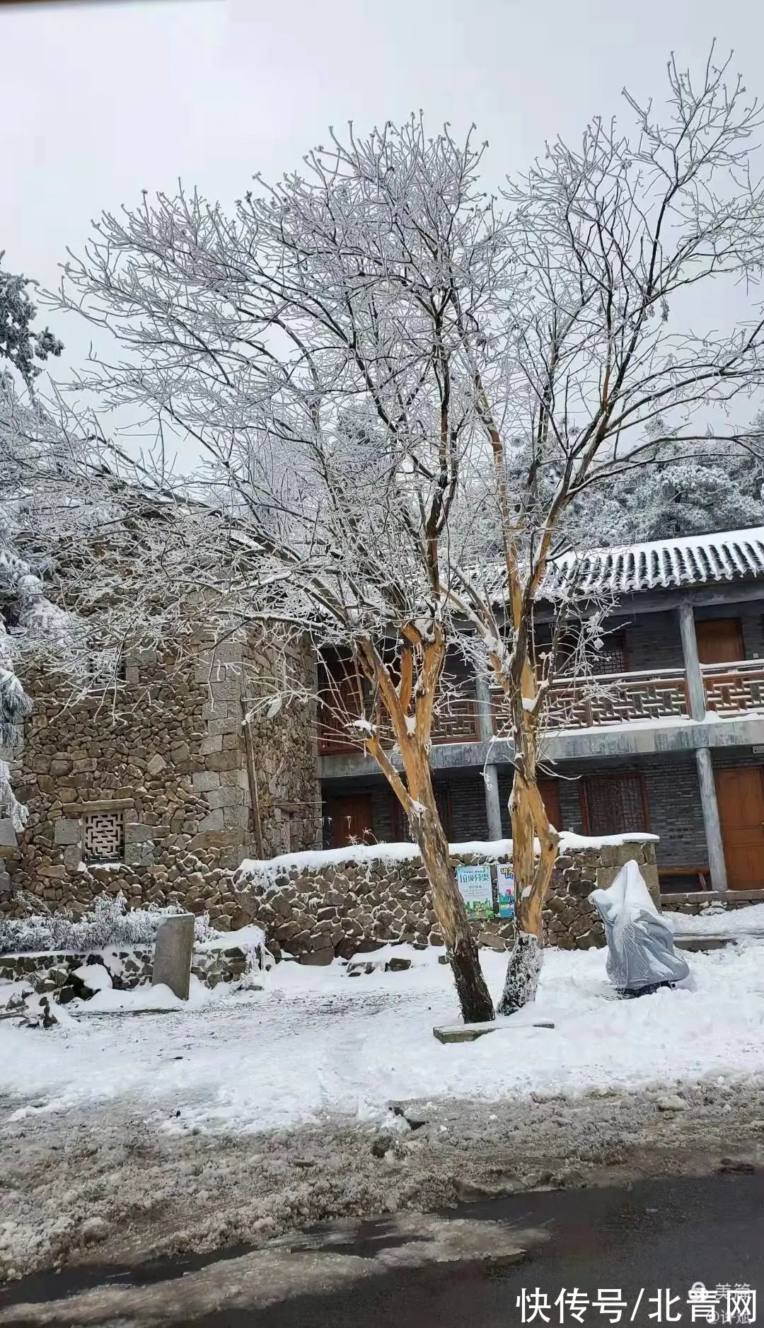 云海|太美了！台州最新雪景！括苍山跌至-10℃，再现云海奇观