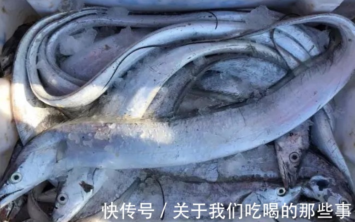 哪些鱼适合冬天吃?聪明人选这4种,肉肥味鲜营养高,价格还便宜