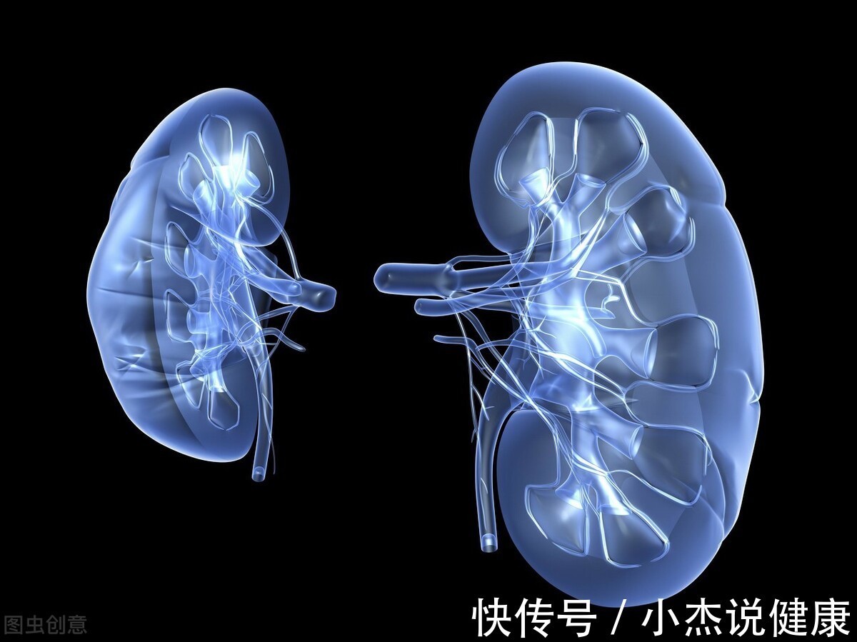 肾错构瘤|北京古楼疑难病研究院于加军:肾肿瘤和肾癌的区别