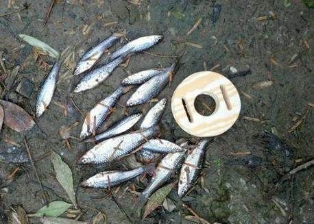 钓鱼时,如何避免小杂鱼“闹窝”,这3个方法老钓友经常用