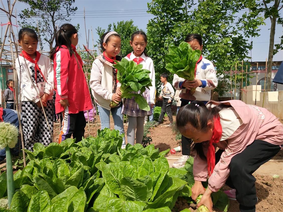 梨林小学举行“喜迎五一，劳动光荣”趣味运动会