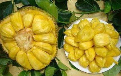 好处|每天可以多吃3种食物,补充营养、改善体质,好处多多