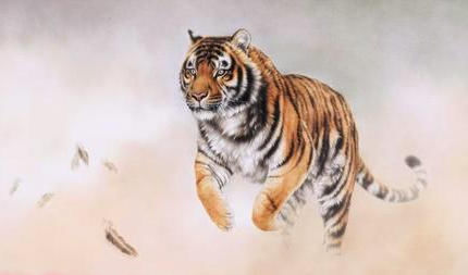  有何|古代人说“虎生三子，必有一彪”。那么彪是什么？跟普通小老虎有何不同？