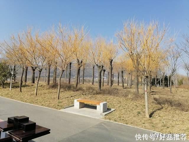 中年|龙泉湖湿地公园游记