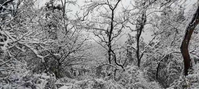 成都|紧急除雪，保障游览安全