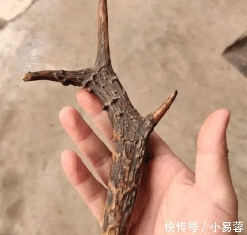 "啥叫文玩硬汉?不管多虐手,说盘就盘"