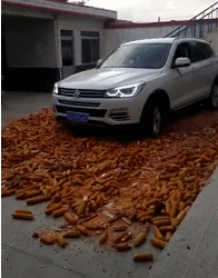 |搞笑GIF:我想知道你昨晚干什么去了,怎么会困成这样?