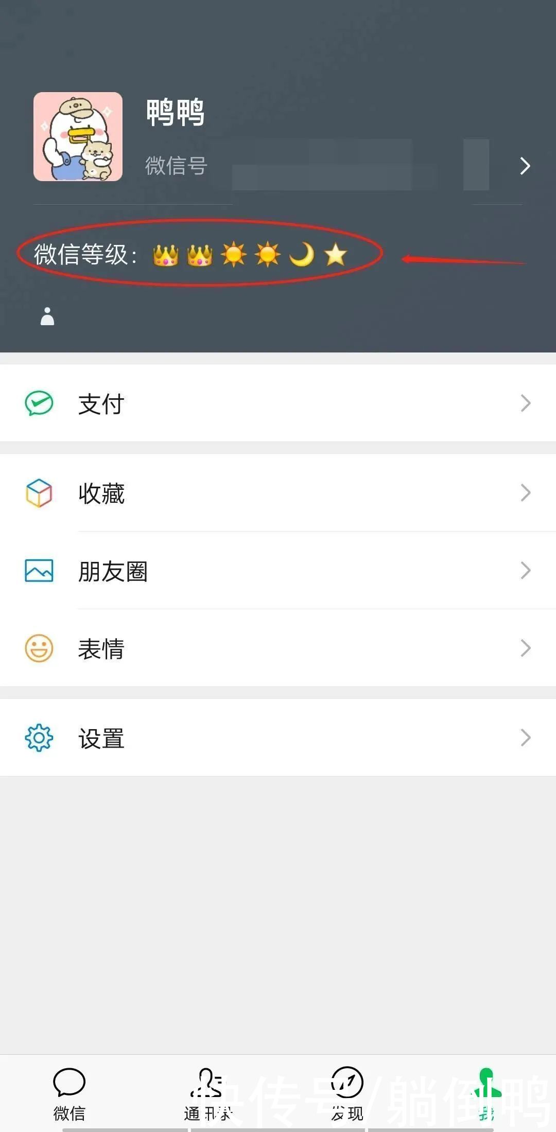 等级|微信终于有等级了？！两个皇冠也太厉害了吧