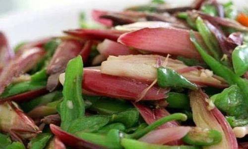 延缓衰老|秋天养生推荐常吃3种食物，补充营养，补血养气，呵护子宫