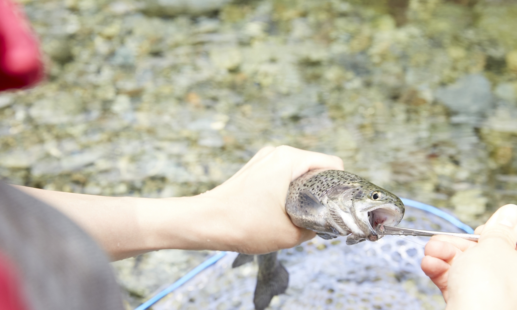 上海与众不同的“黑坑”,钓鱼不要交费,每天都有成百上千人聚集